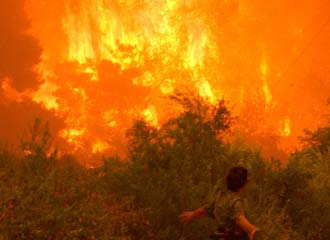 Σύσταση Επιτροπής Εμπειρογνωμόνων για τις καταστροφικές πυρκαγιές που έπληξαν τη Χίο