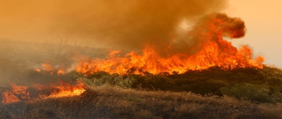 Έκτακτη Είδηση: Φωτιά στα Γλυσίδια της Πάρου (Νεότερη Ανάρτηση - Η πυρκαγιά κατασβέστηκε)