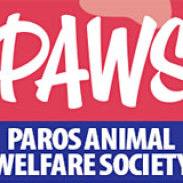 Paws: Απολογισμός 2011 για τα αδέσποτα της Πάρου