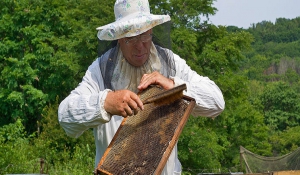 Πήγε να καταστρέψει κυψέλη και τον τσίμπησαν σχεδόν 1.000 μέλισσες