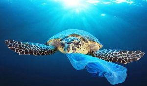 Ημερίδα στο Δήμο Πάρου: Αντιμετώπιση της θαλάσσιας ρύπανσης από πλαστικά