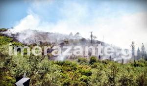 Μεγάλη πυρκαγιά στη Ζάκυνθο - Τεράστια η καταστροφή