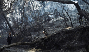 Τεράστια καταστροφή από τη φωτιά στην Εύβοια -Τουλάχιστον 25.000 στρέμματα η καμένη έκταση