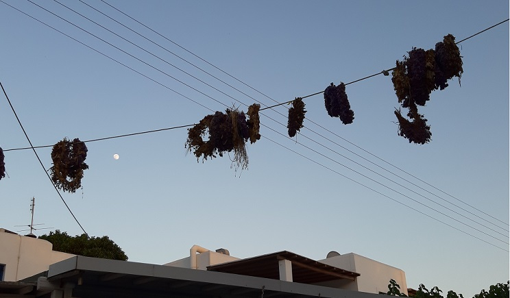 Πάρος: Τους κλέβουν, τους κρεμούν και μετά τους καίνε! Το παραδοσιακό έθιμο της Αλυκής πριν τη γιορτή του Κλήδονα…