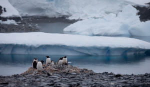 Guardian: Λιώνουν οι θαλάσσιοι πάγοι στην Ανταρκτική-Τι σημαίνει το νέο αρνητικό ρεκόρ, πόσο κινδυνεύουμε