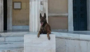 Το «αντίο» της αστυνομίας στον Αρη -Τον σκύλο που έβρισκε εκρηκτικά