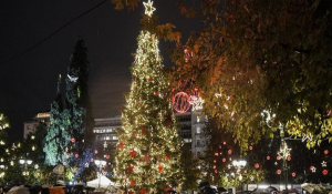 Λάμψη και θέαμα στο Σύνταγμα: Ο Μπακογιάννης φωταγώγησε υπό βροχή το φυσικό χριστουγεννιάτικο δέντρο