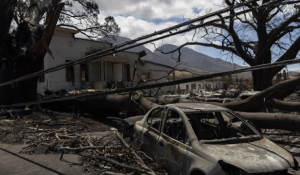 Πυρκαγιές στη Χαβάη: Τουλάχιστον 80 οι νεκροί - Αποκαρδιωτικές εικόνες από το καρβουνιασμένο τοπίο