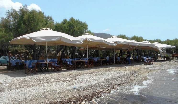 Πάρος: Άνοιξε το Εστιατόριο CAVO D΄ ORO στα Λιβάδια της Παροικίας!