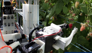 Αυτό το ρομπότ μαζεύει φρούτα γρηγορότερα από τον άνθρωπο