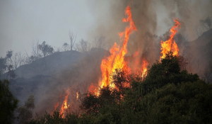 Πυρκαγιά στα Καλύβια και εντολή απομάκρυνσης κατοίκων