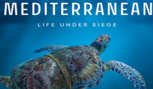 Στην Αμοργό τα γυρίσματα του «Mediterranean-Life UnderSiege»