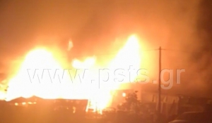 Καταστροφική πυρκαγιά στην Αγκαιριά της Πάρου (Βίντεο)