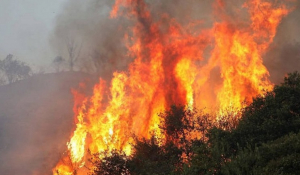 Χίος: Σε εξέλιξη μεγάλη πυρκαγιά στα Ψαρά