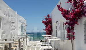 Το Insider αποθεώνει την Ελλάδα με ένα 8λεπτο φιλμ -«Νο1 προορισμός για το 2020» (Βίντεο)