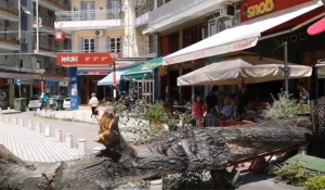 Απίστευτες εικόνες: Δέντρο έπεσε σε καφέ στο κέντρο της Θεσσαλονίκης