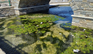 Πάρος: Απαράδεκτη η εικόνα στον ποταμό κάτω από το γεφυράκι της Νάουσας…