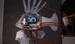 Αυτό είναι το πρώτο ρομποτικό ψάρι -Κινείται με συνθετικό αίμα