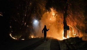 Ολονύχτια μάχη με τις φλόγες στην Εύβοια -Εκκενώθηκαν χωριά