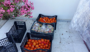 Δήμος Αμοργού: Διανομή τροφίμων